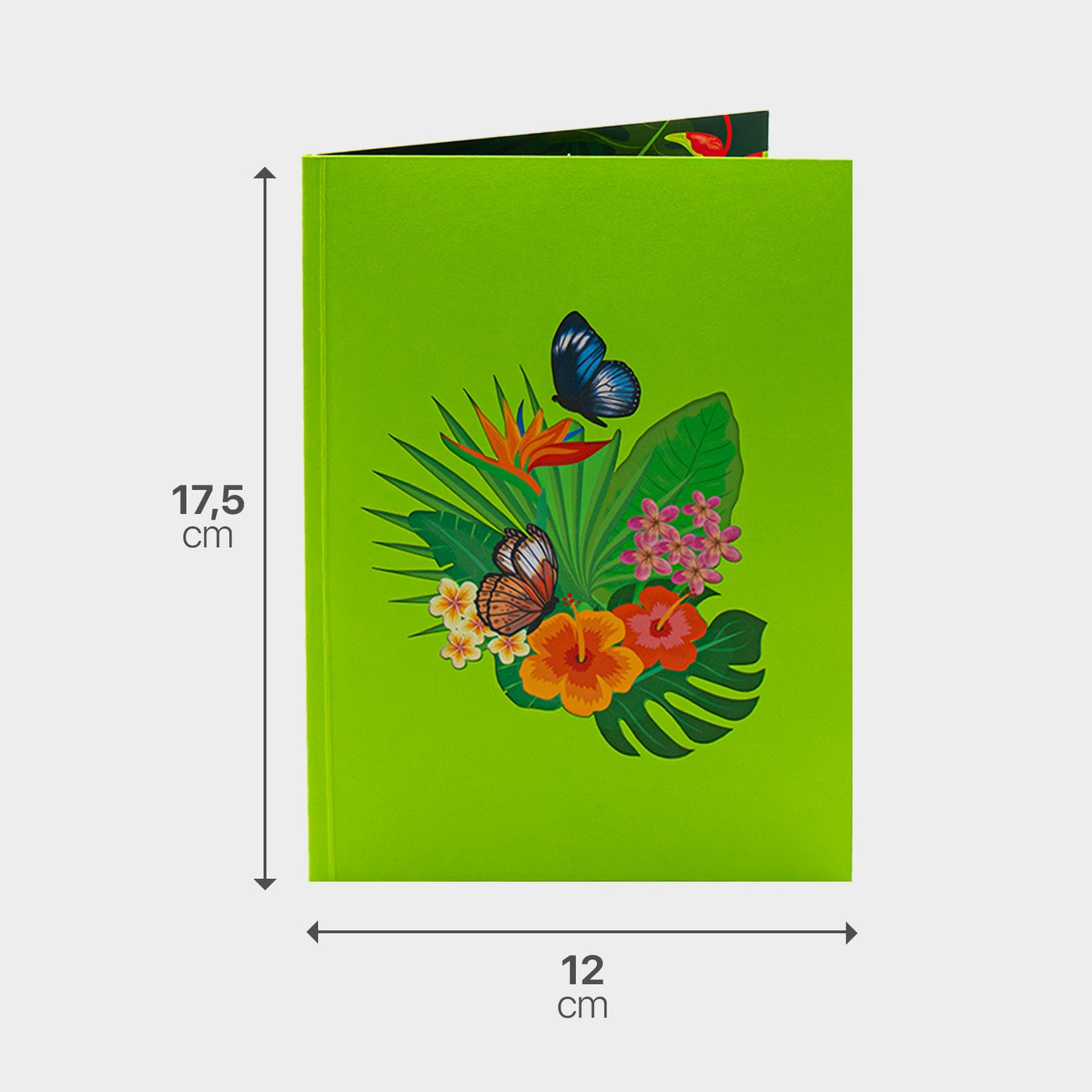 Grüner Briefumschlag zur 3D Pop-Up Karte mit Maßangabe, passend zum tropischen Blumen- und Schmetterlingsmotiv.