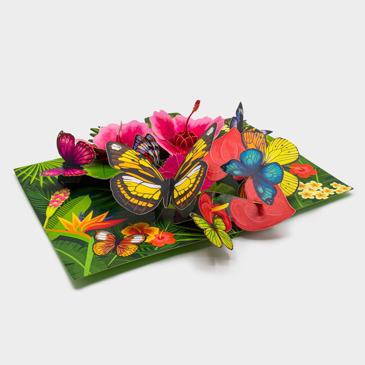 3D Pop-Up Karte mit tropischen Blumen und Schmetterlingen ohne Briefumschlag, liebevoll gestaltet und detailreich verarbeitet.