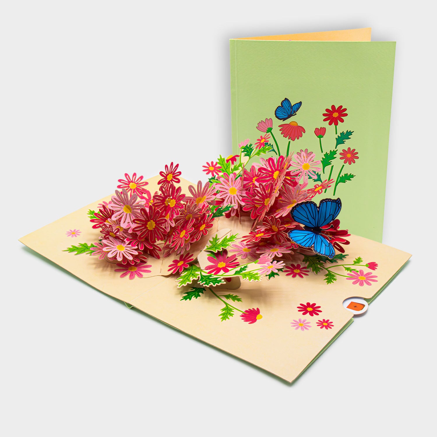 Aufgeklappte 3D Pop-Up Karte mit pinken Blumen und blauem Schmetterling, daneben die zugeklappte Karte mit Blumen- und Schmetterlingsmotiv auf grünem Cover.