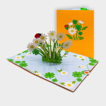 Aufgeklappte 3D Pop-Up Karte mit Gänseblümchenstrauß und Marienkäfer, daneben die zugeklappte Karte mit Blumen-Motiv auf orangem Cover.