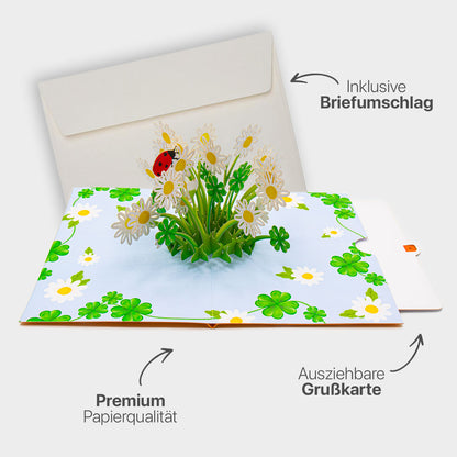 Hochwertiges Highlight-Bild der 3D Pop-Up Karte mit Gänseblümchen-Motiv, inklusive passendem Briefumschlag, Premium-Papier und ausziehbarem Einlegeblatt.