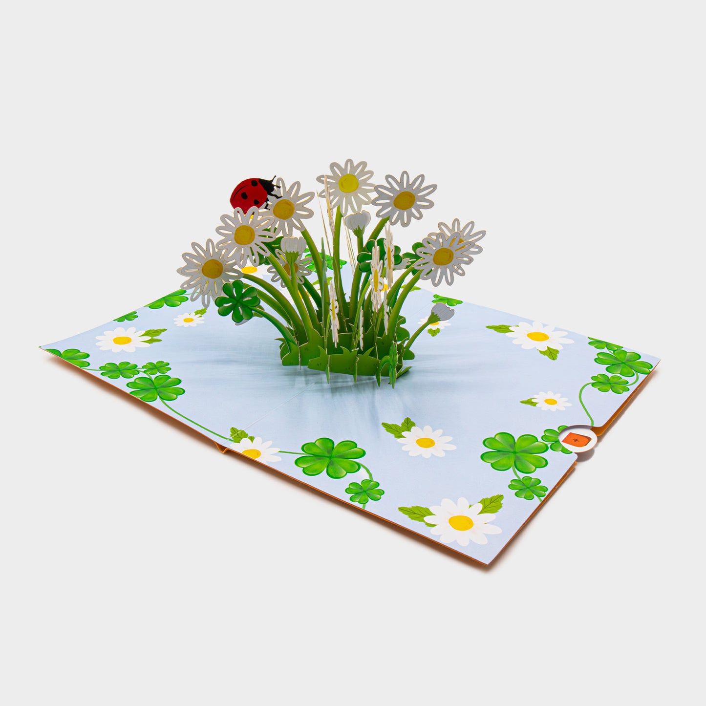 3D Pop-Up Karte mit Gänseblümchenstrauß ohne Briefumschlag, liebevoll gestaltet und detailreich verarbeitet.