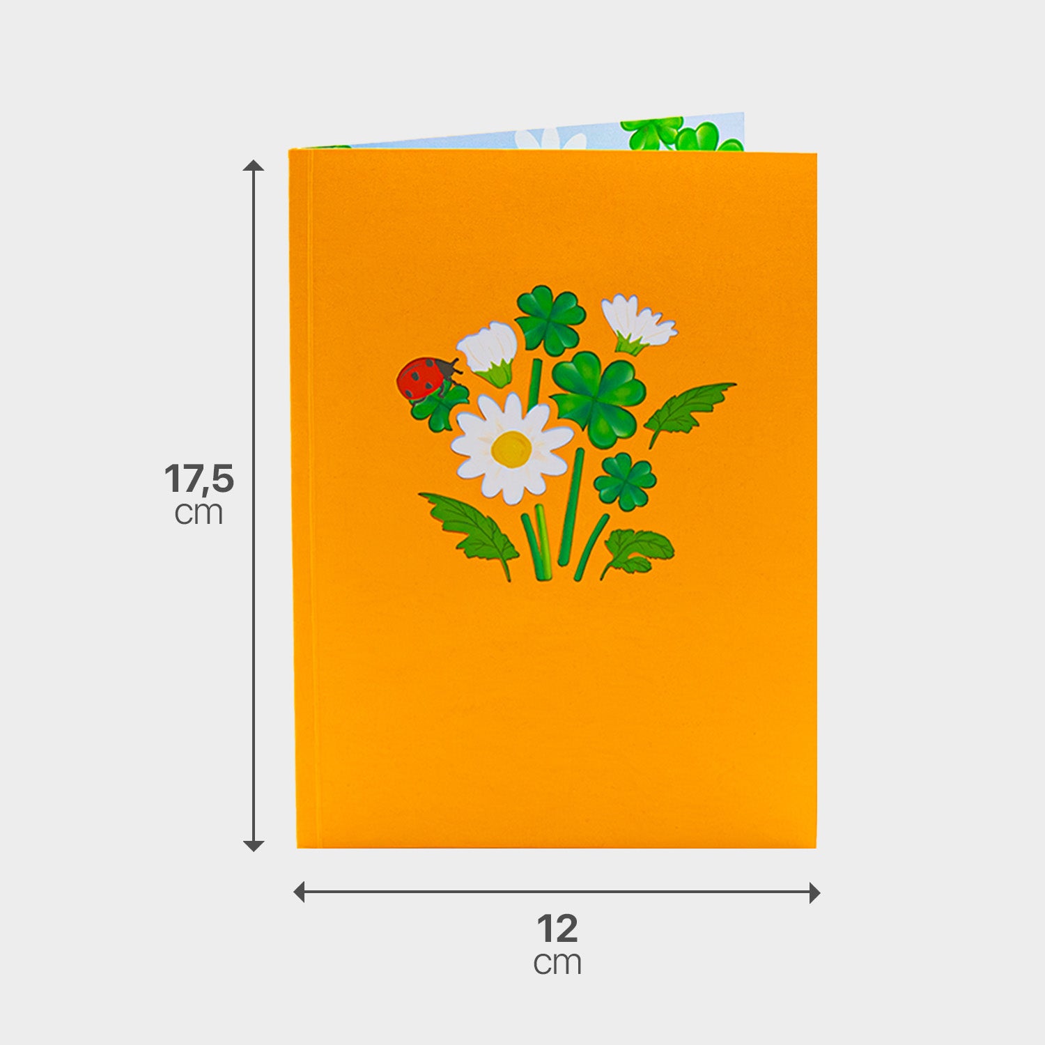 Oranger Briefumschlag zur 3D Pop-Up Karte mit Maßangabe, passend zum Gänseblümchen-Motiv.